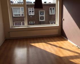 Room for rent 595 euro Buizerdstraat, Rotterdam