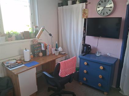 Kamer te huur 500 euro Prunuslaan, Delft