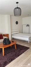 Kamer te huur 800 euro Opera, Zaandam