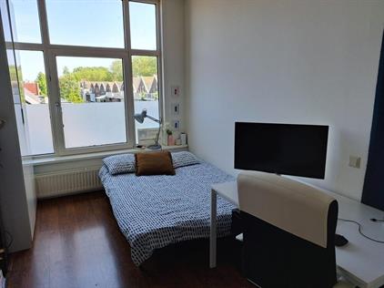 Room for rent 690 euro Oudedijk, Rotterdam