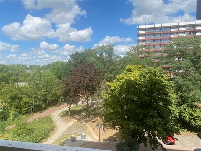 Kamer in Amsterdam, H. Cleyndertweg op Kamernet.nl: Ruime kamer in groot appartement 