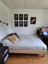 Room for rent 742 euro Hofgeest, Amsterdam