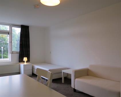 Room for rent 545 euro Aletta Jacobsdreef, Hoofddorp