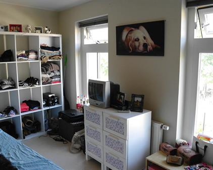 Room for rent 567 euro Breedpad, Heerenveen