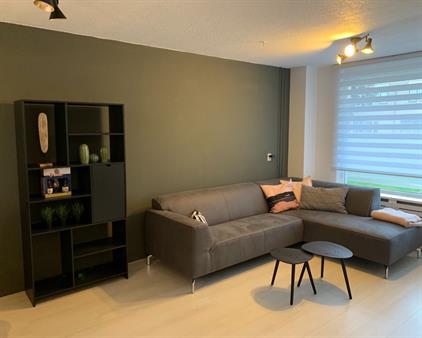 Room for rent 550 euro Alerdincksingel, Rotterdam