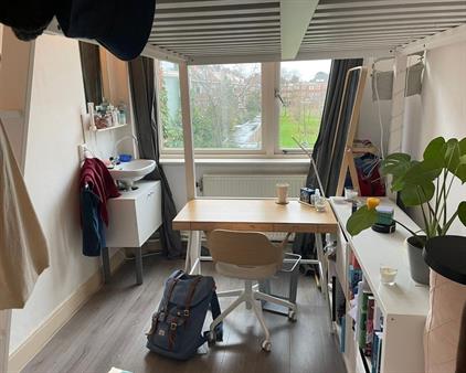 Room for rent 375 euro E. Thomassen a Thuessinklaan, Groningen