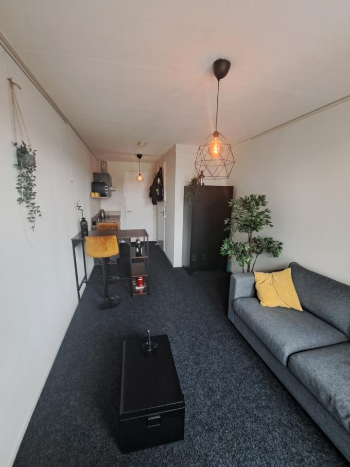 Antonio Vivaldistraat, Amsterdam - Amsterdam Apartments for Rent