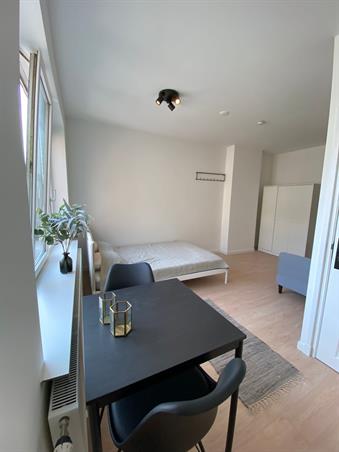 Zimmer bei Zweedsestraat In Rotterdam