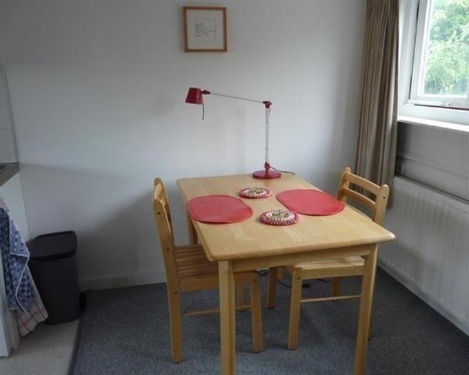 Zimmer bei Petrarcalaan In Utrecht