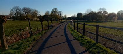 Room for rent 480 euro Pop Dijkemaweg, Groningen