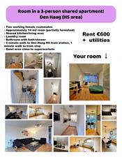 Room for rent 600 euro Rijswijkseweg, Den Haag