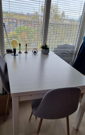 Studio bei Kleine Beer In Groningen