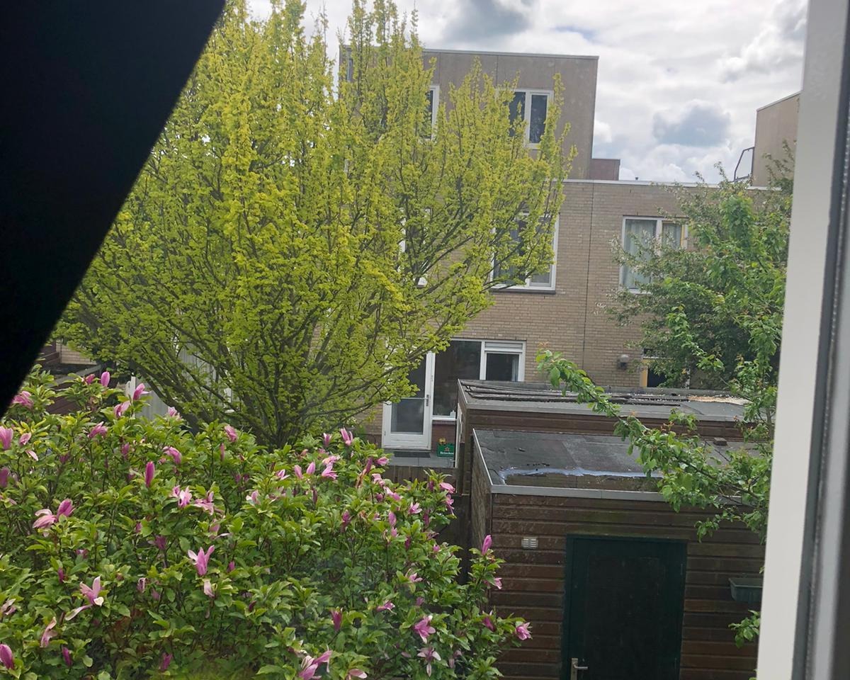 Kamer te huur in Gouda – Rossinistraat – foto 3