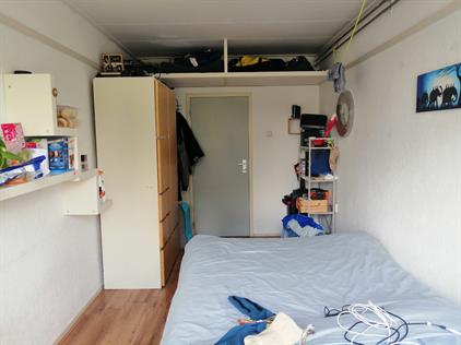 Room for rent 300 euro Calslaan, Enschede
