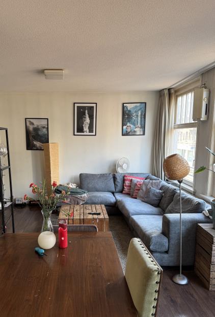 Room for rent 1050 euro Van Woustraat, Amsterdam