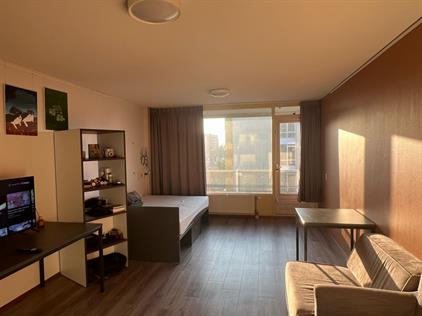 Studio for rent 800 euro Mina Krusemanstraat, Delft