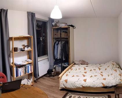 Room for rent 520 euro Langestraat, Groningen