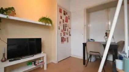 Studio for rent 560 euro Hoornsediep, Groningen
