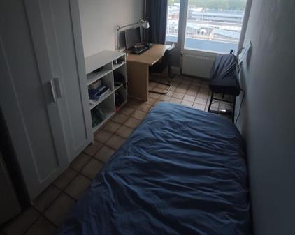 Kamer te huur 650 euro Henri ter Hallsingel, Rijswijk