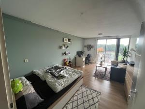 Room for rent 400 euro Balthasar van der Polweg, Delft