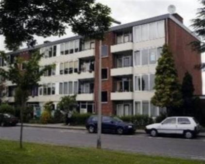 Room for rent 299 euro Zweringweg, Enschede