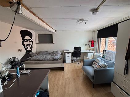 Room for rent 450 euro Hippolytusbuurt, Delft