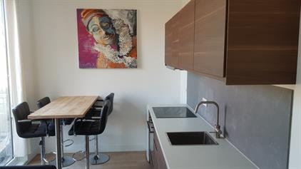 Studio zu vermieten 925 Euro Byzantiumstraat, Haarlem
