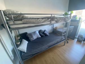 Room for rent 500 euro Ir. Lelyweg, Haarlem