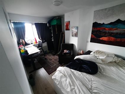 Room for rent 600 euro Albert Cuijpstraat, Schiedam
