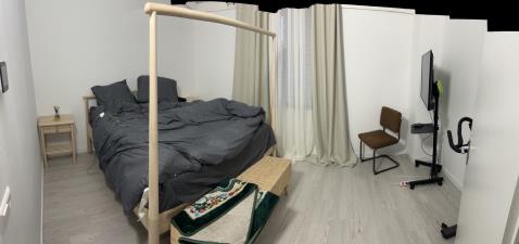 Room for rent 800 euro Lijsterbeslaan, Delft