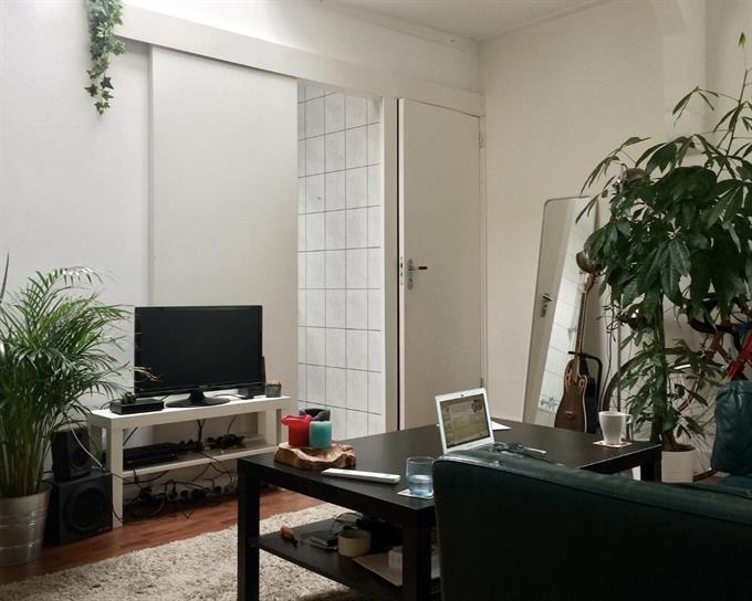 Kamer in Amsterdam, Paardenstraat op Kamernet.nl: Tweekamer apartement 