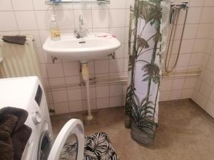 Room for rent 800 euro Derde Oosterparkstraat, Amsterdam