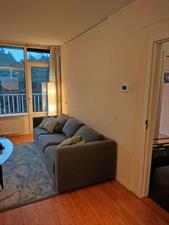 Room for rent 550 euro Anna Paulownalaan, Zeist