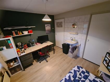 Room for rent 315 euro Nieuwe Kanaal, Wageningen