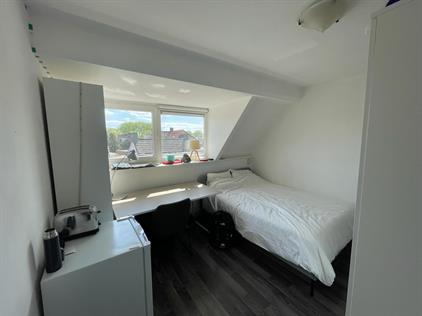 Room for rent 600 euro Hastelweg, Eindhoven