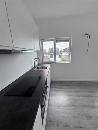 Kamer in Nijmegen, Goeman Borgesiusstraat op Kamernet.nl: Kamer 18m2