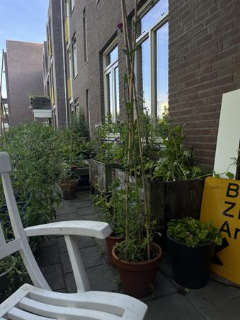 Zimmer bei Mina Krusemanstraat In Enschede