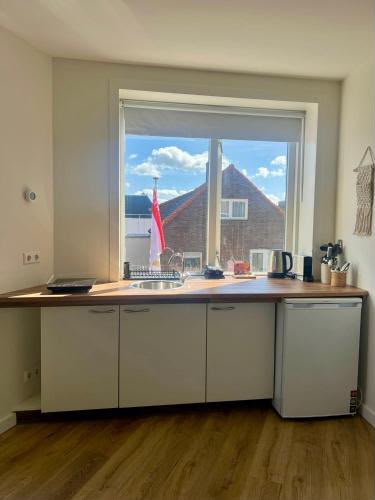 apartments for rent on Haltestraat