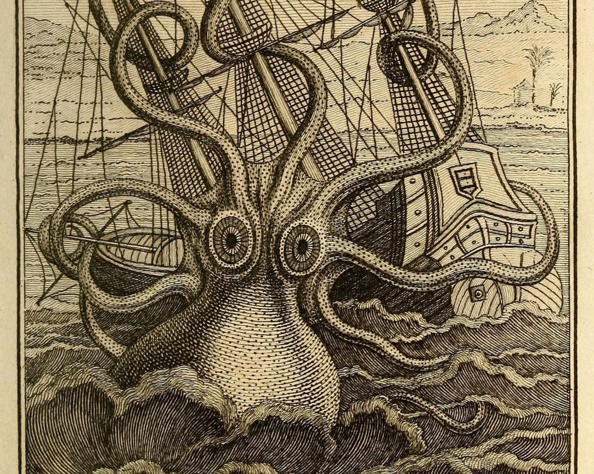 House of Kraken