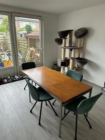 Zimmer bei Ranonkelstraat In Groningen