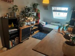 Kamer te huur 487 euro De Colignystraat, Delft