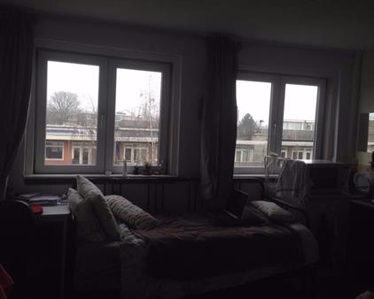 Kamer te huur 900 euro Witte de Withstraat, Amsterdam