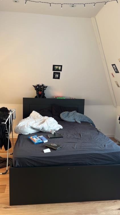 Room for rent 600 euro Marcelisstraat, Den Haag