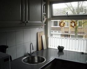 Room for rent 800 euro Ternatestraat, Delft