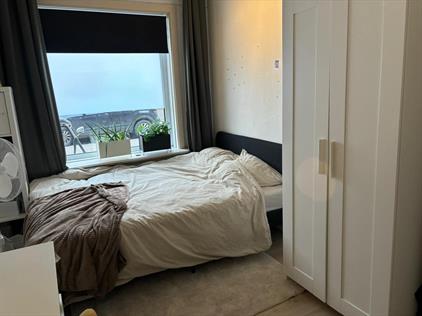 Room for rent 442 euro Lijsterstraat, Tilburg