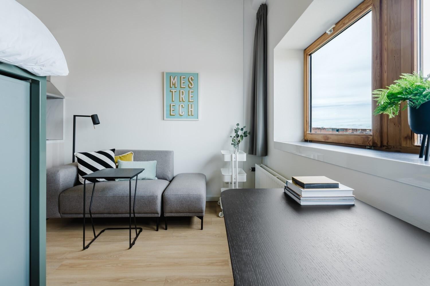 studios te huur op Limburglaan