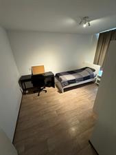 Room for rent 525 euro Sikkeldreef, Doetinchem