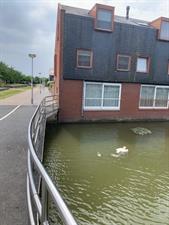 Kamer te huur 800 euro Galgenraklaan, Utrecht