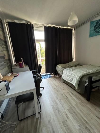 Room for rent 300 euro Professor Rankestraat, Groningen