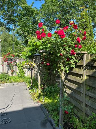 Zimmer bei Hesselinklanden In Enschede